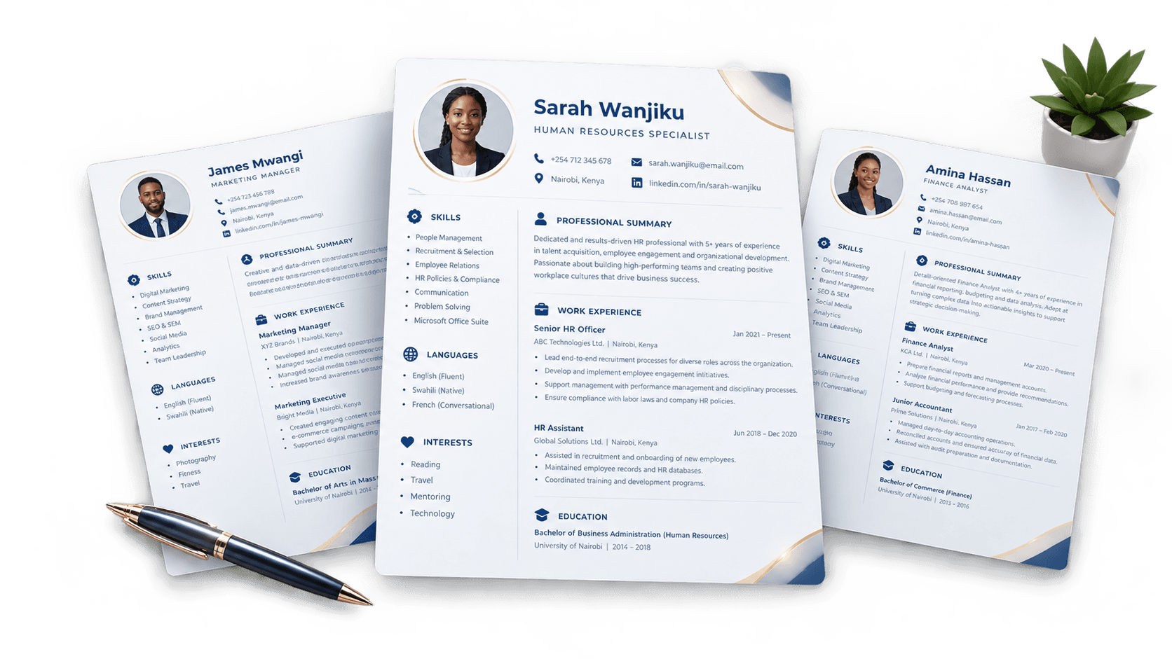 Professional CV Examples